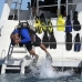 diver_aggressor_wc_v_0484_tci0487.jpg